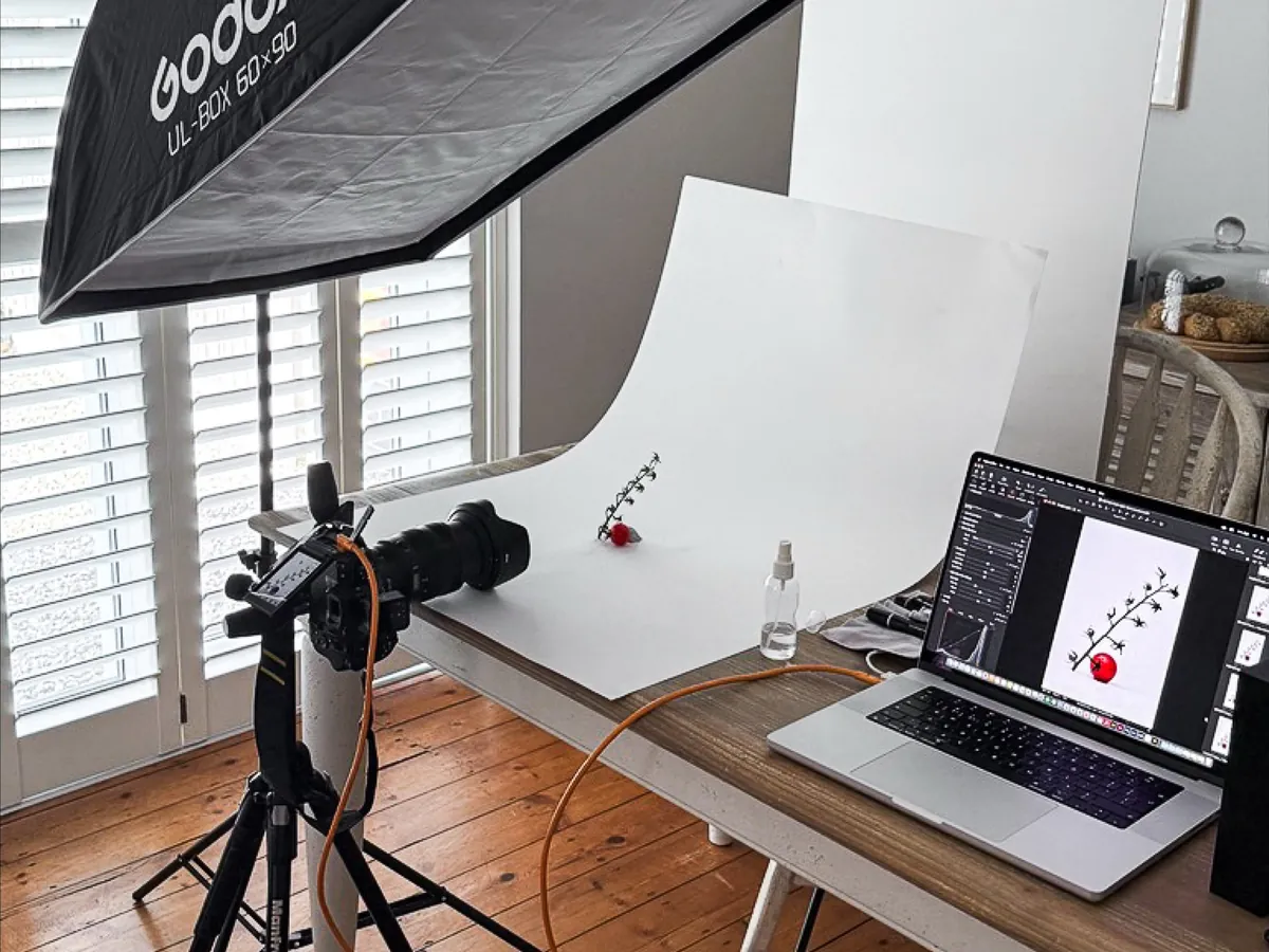 A softbox, a tethered camera on a tripod and a laptop set up around a small white sweep on a dining table