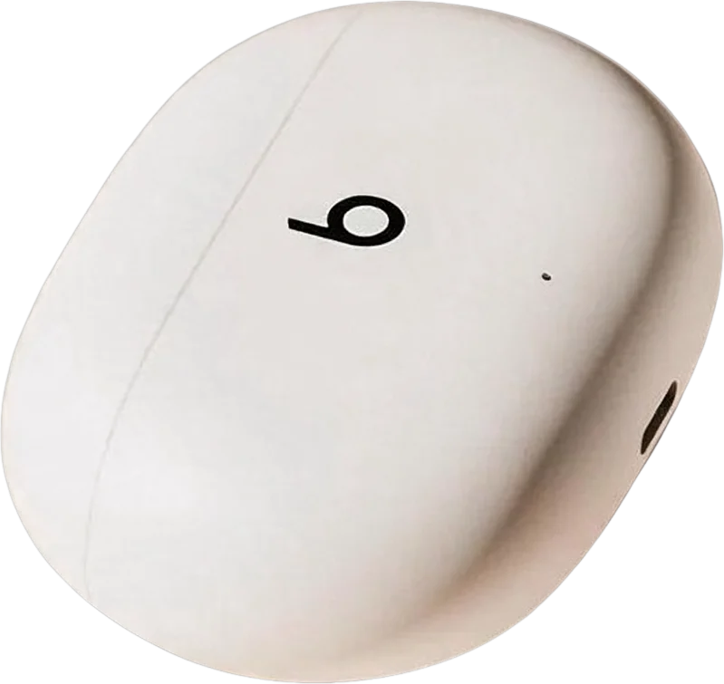 A pebble-shaped wireless earbud charging case